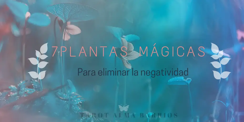 plantas mágicas