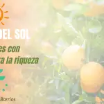 Fruta del sol: Rituales con naranja para obtener riqueza