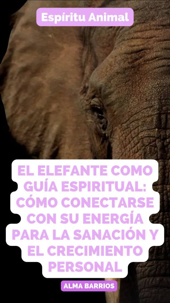 El elefante como guía espiritual: cómo conectarse con su energía para la sanación y el crecimiento personal