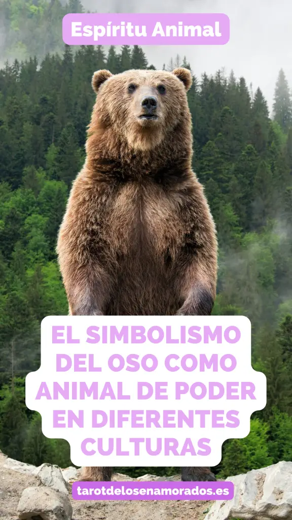 El simbolismo del oso como animal de poder en diferentes culturas