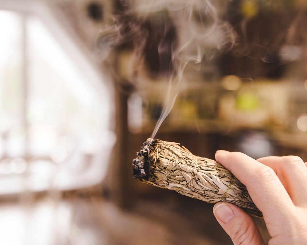 Cómo realizar una limpieza espiritual con salvia Pasos y beneficios