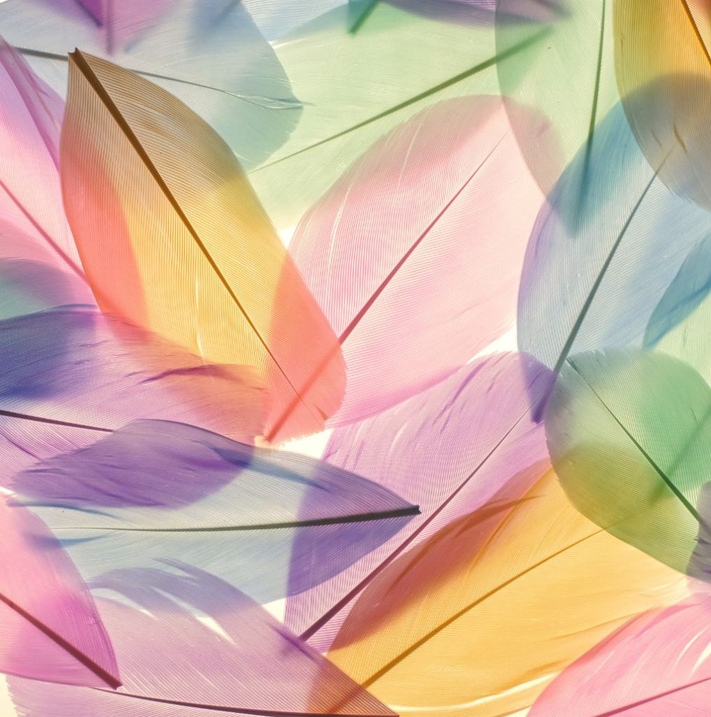 significado de las plumas de colores