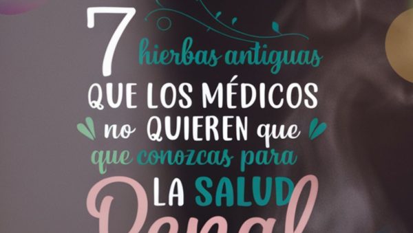 7 Hierbas Antiguas que los Médicos NO Quieren que Conozcas para la Salud Renal