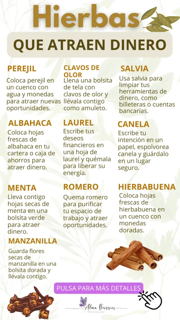 Descubre las hierbas mágicas para atraer dinero y prosperidad: albahaca, laurel, canela, y más. Aprende cómo usarlas en rituales, amuletos y baños energéticos para desbloquear la abundancia en tu vida. ¡Llena tu hogar de energía positiva y riqueza! #HierbasMágicas #Prosperidad #RitualesDeAbundancia #MagiaNatural #EnergíaPositiva