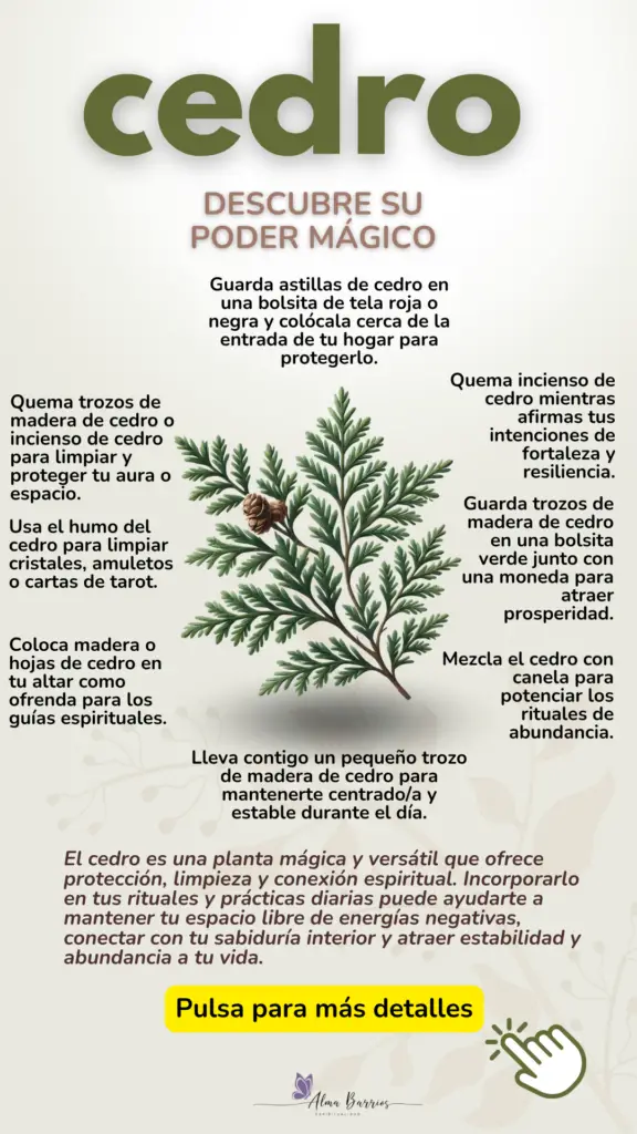 Descubre las propiedades mágicas del cedro: protección, purificación y conexión espiritual. Ideal para rituales de limpieza energética, estabilidad y abundancia. #MagiaConCedro #ProtecciónEnergética #RitualesEspirituales #LimpiezaEnergética #EnergíaPositiva