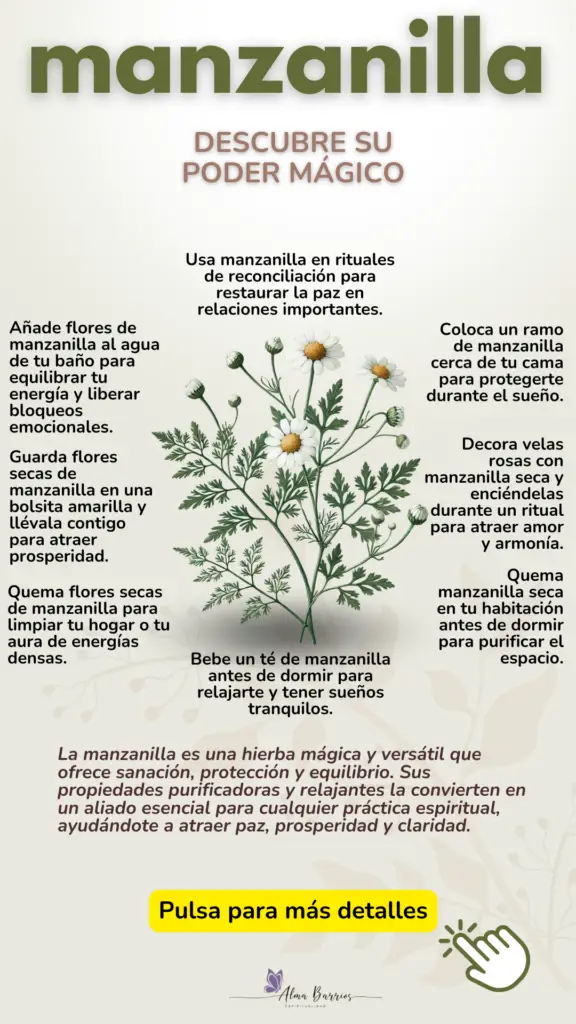 Descubre la magia de la manzanilla: una hierba sagrada para la sanación, la protección y la atracción de energía positiva. Aprende cómo usarla en rituales de limpieza, prosperidad y amor propio. ¡Conecta con su poder relajante y transformador! #ManzanillaMágica #LimpiezaEnergética #SanaciónNatural #RitualesEspirituales #EnergíaPositiva