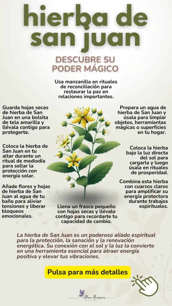 Descubre la magia de la hierba de San Juan: protección energética, sanación emocional y atracción de luz positiva. Aprende cómo usar esta planta sagrada en rituales de limpieza, abundancia y transformación espiritual. ¡Conecta con su energía solar y renovadora! #HierbaDeSanJuan #LimpiezaEnergética #SanaciónNatural #ProtecciónEspiritual #MagiaNatural