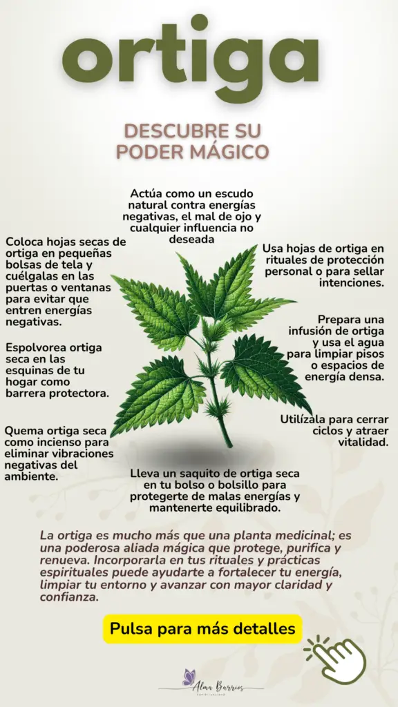 Propiedades y Usos Mágicos de la Ortiga Protección y Energía Renovadora