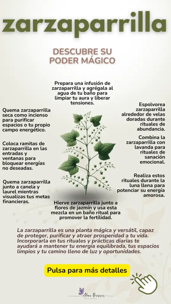 Descubre las propiedades mágicas de la zarzaparrilla: purificación, protección y atracción de prosperidad. Ideal para rituales de limpieza energética, amuletos de abundancia y conexión espiritual. #ZarzaparrillaMágica #RitualesEspirituales #LimpiezaEnergética #Abundancia #EnergíaPositiva