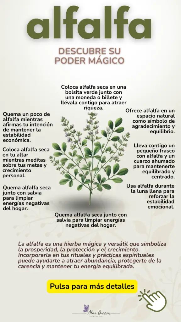 Descubre las propiedades mágicas de la alfalfa: abundancia, protección y estabilidad. Ideal para rituales de prosperidad, limpieza energética y conexión espiritual. #MagiaConAlfalfa #AbundanciaYProsperidad #RitualesEspirituales #LimpiezaEnergética #EnergíaPositiva