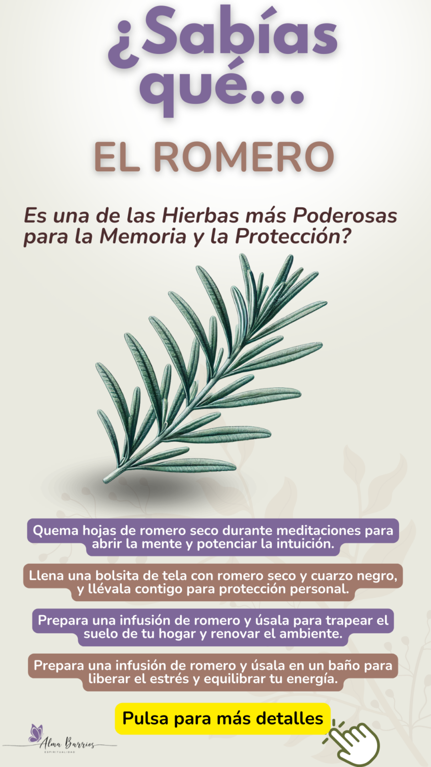 ¿Sabías que el Romero es una de las Hierbas más Poderosas para la ...