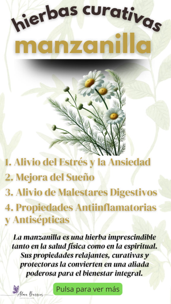  Descubre los increíbles beneficios curativos y mágicos de la manzanilla. Desde aliviar el estrés y mejorar el sueño, hasta atraer prosperidad y proteger tu energía. ¡Una hierba esencial en tu vida!  #Manzanilla #HierbasCurativas #MagiaNatural