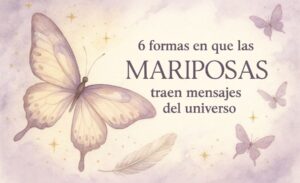 6 Formas en que las mariposas traen mensajes del universo