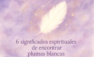 6 significados espirituales de encontrar plumas blancas