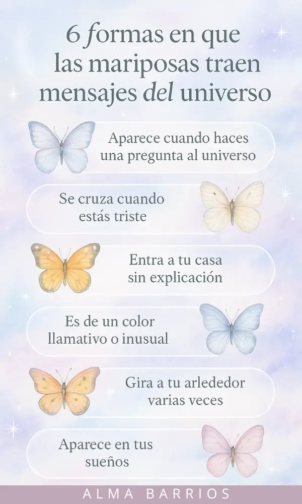 6 formas en que las mariposas traen mensajes del universo